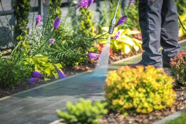 Trusted Lanai City, HI Pressure Washing Services Experts